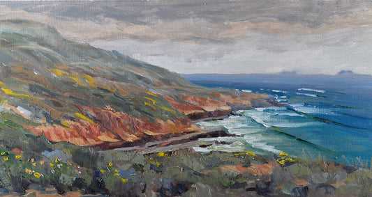 Coastal California in Spring