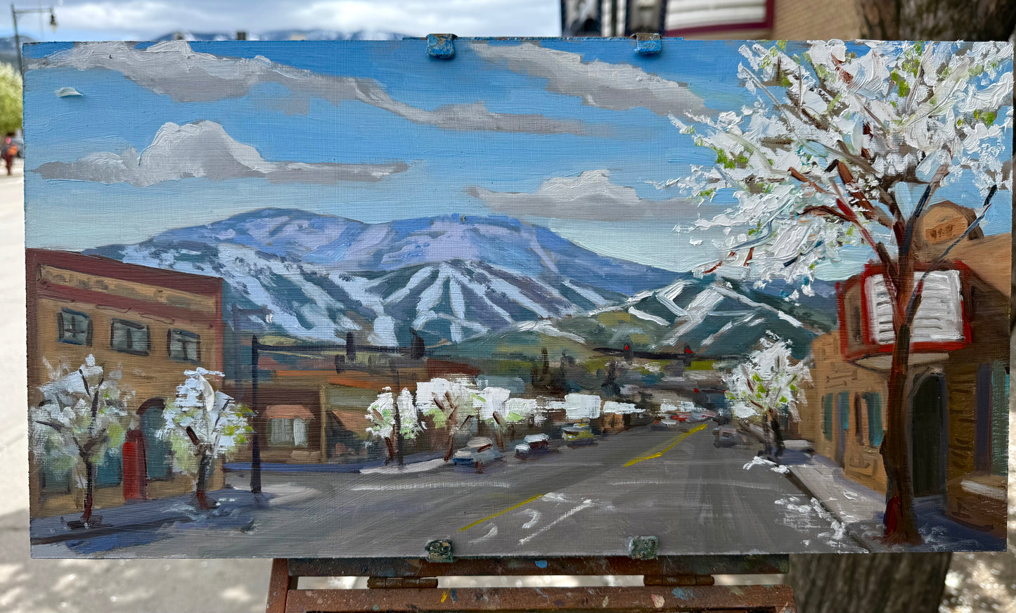 Downtown in bloom