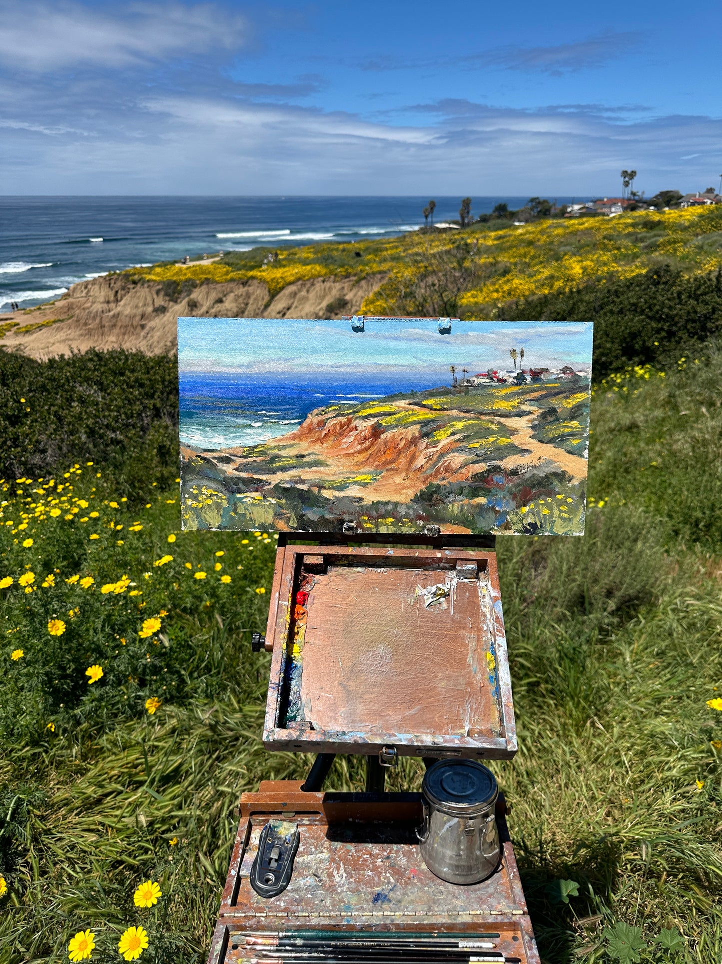 Sunset Cliffs Super Bloom!!