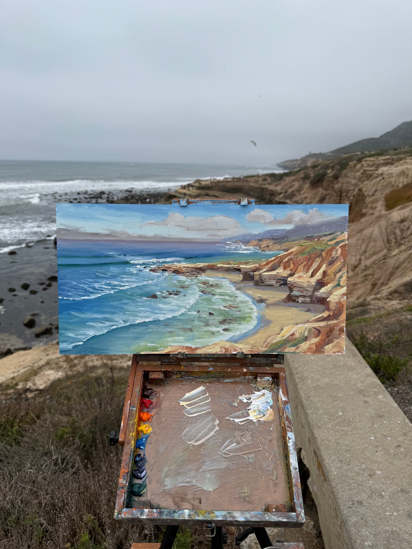 Sunset cliffs tide pools in march