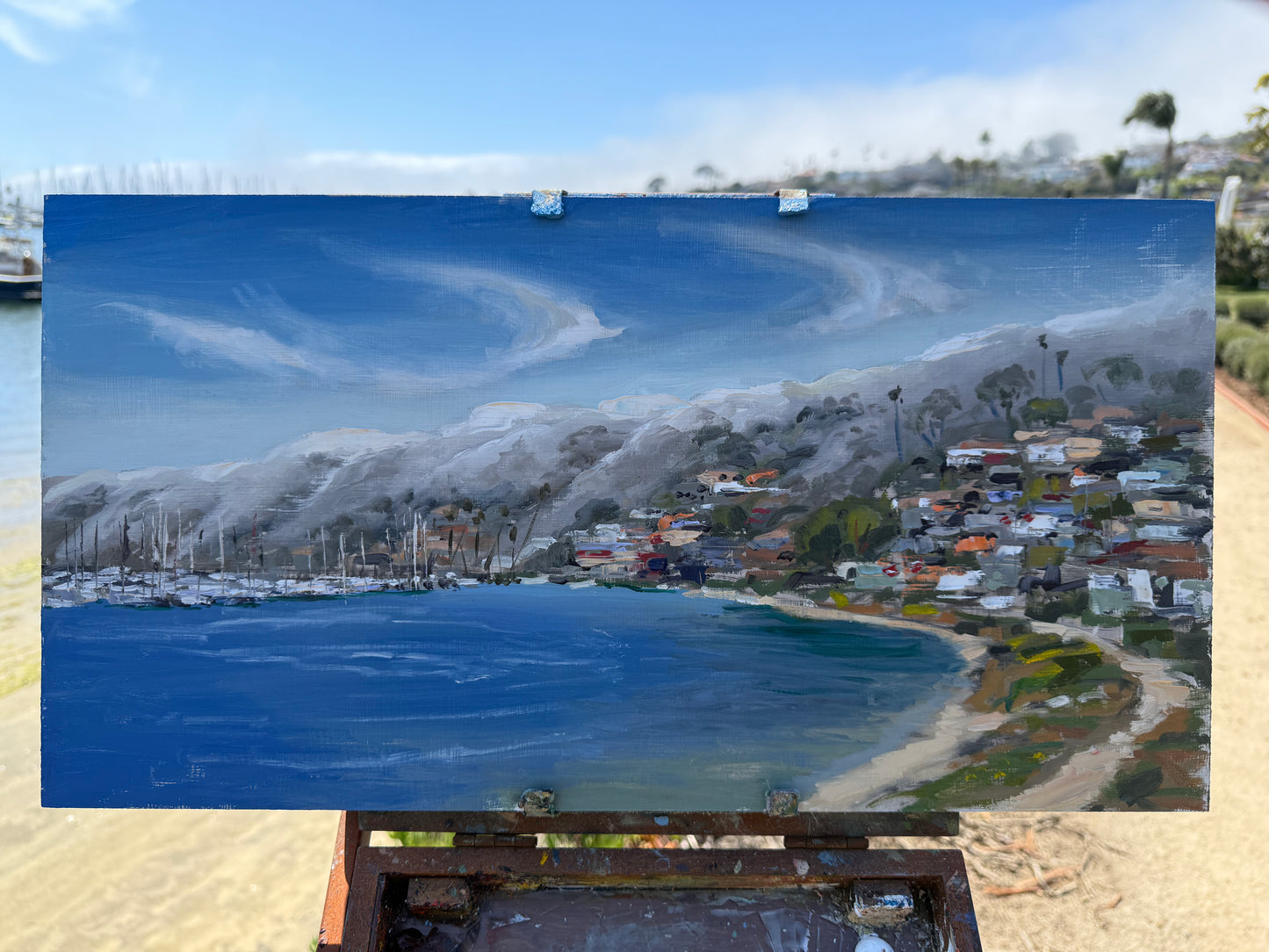 Fog on the point