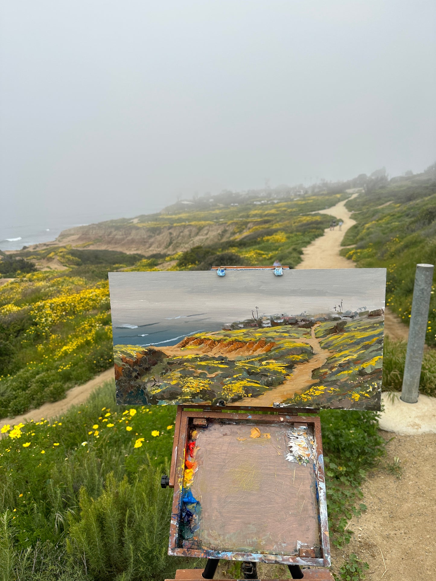 Super Bloom in the fog