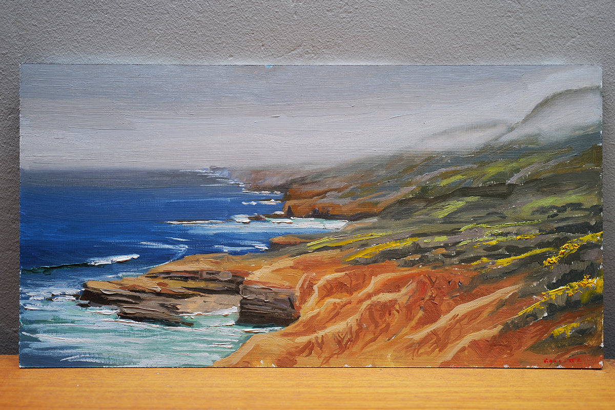 Sunset Cliffs in the fog