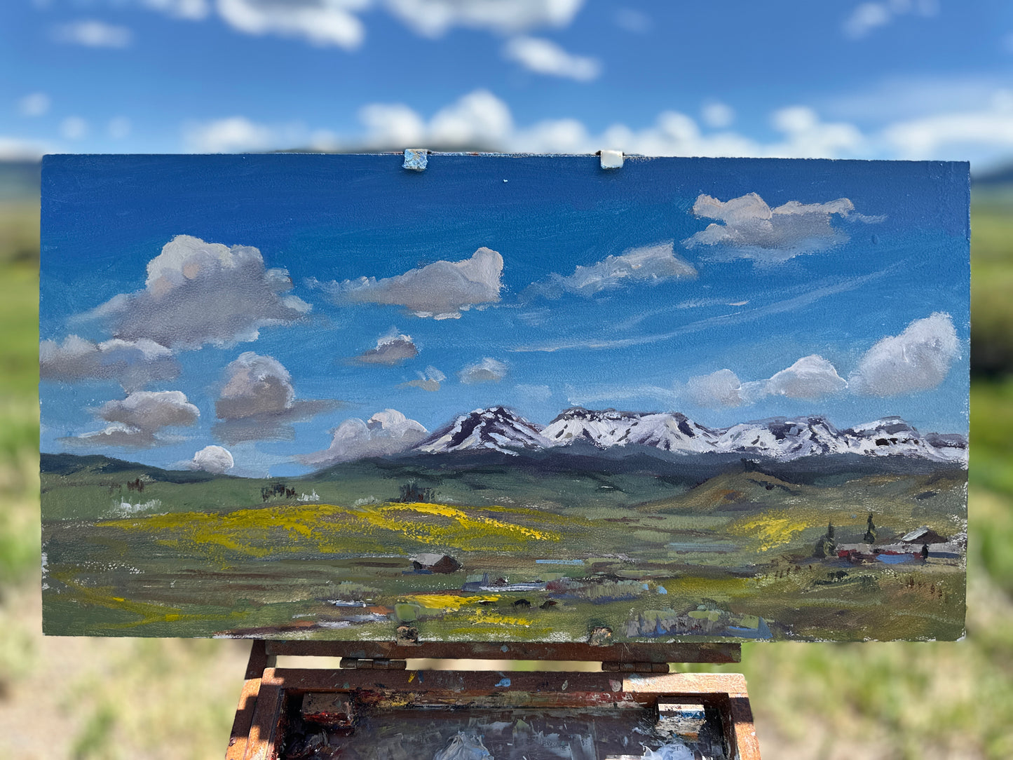 Flattops in June