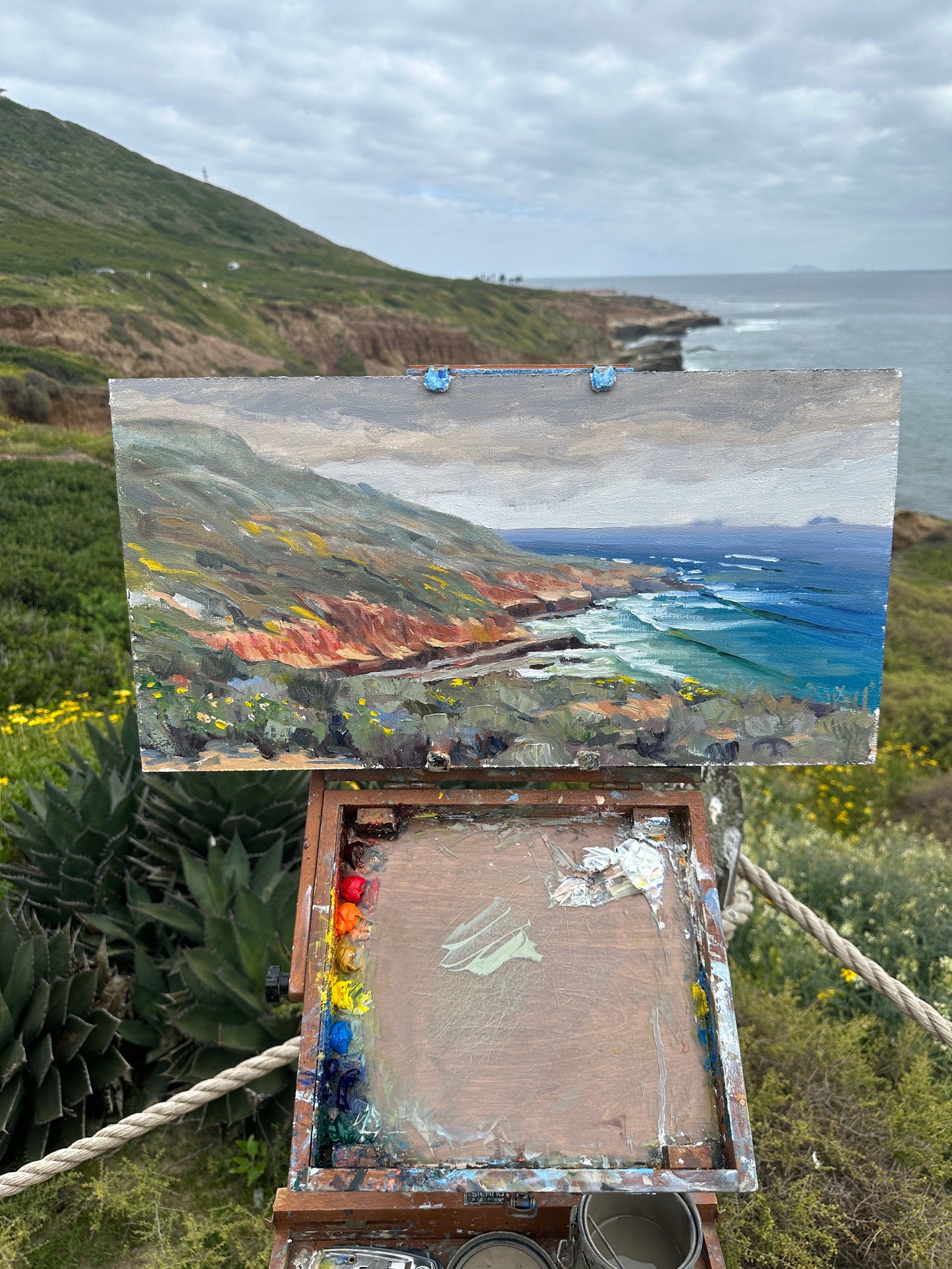 Coastal California in Spring