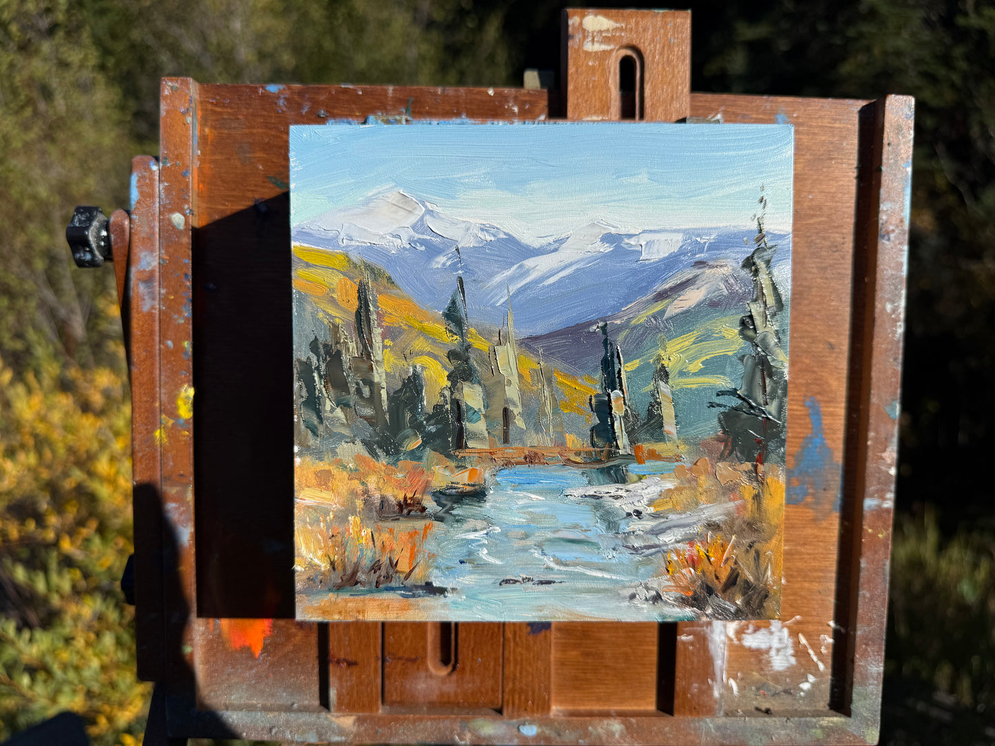 Middle fork of the Elk