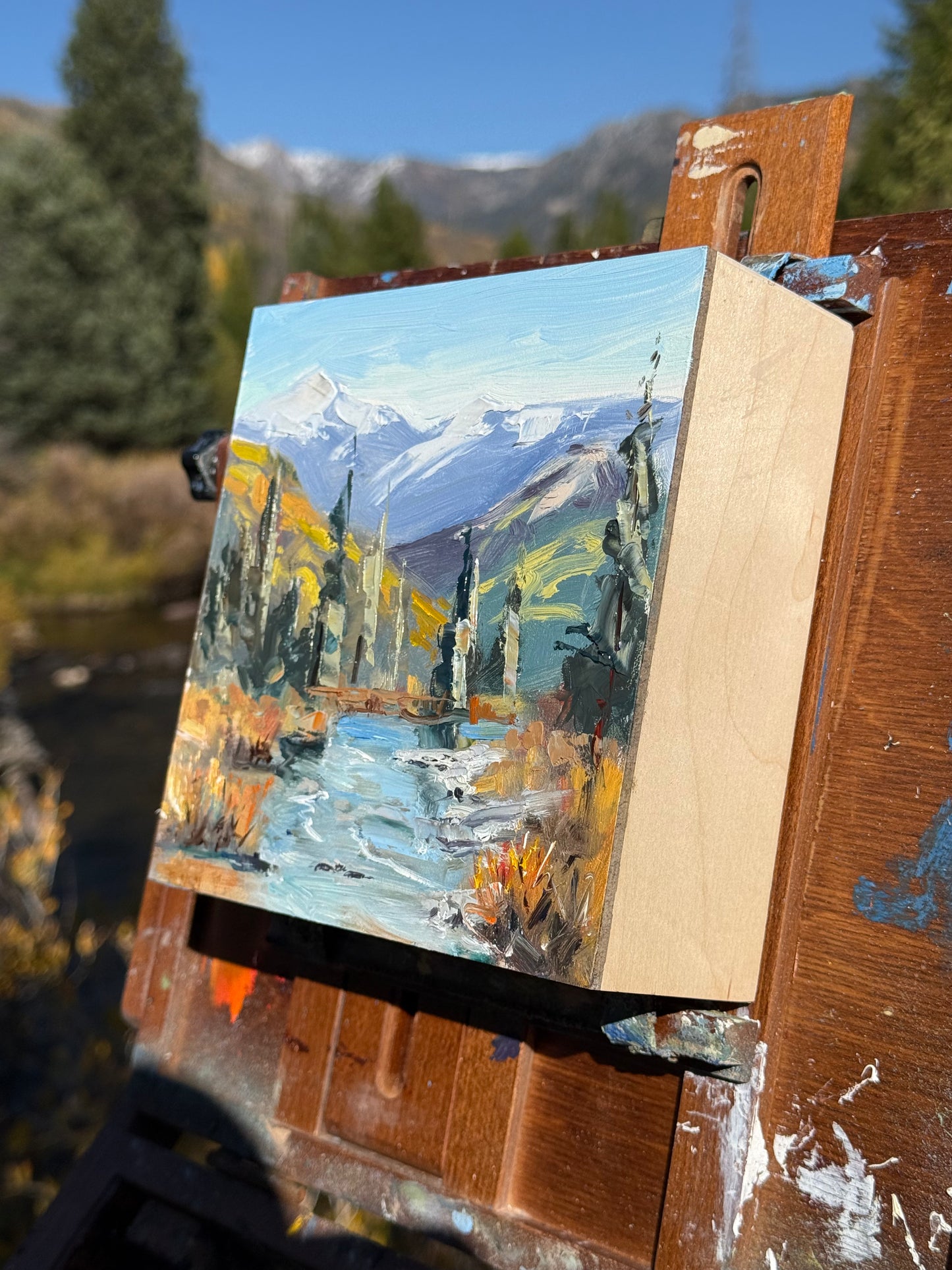 Middle fork of the Elk