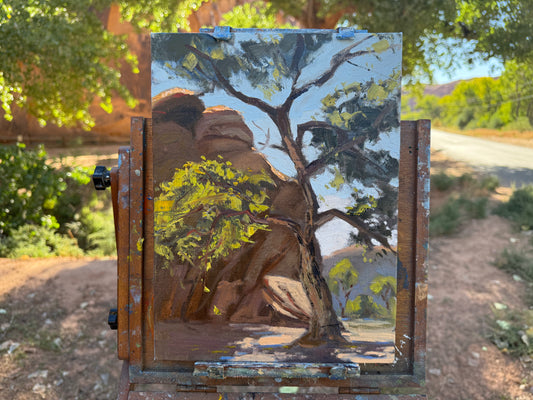 Cottonwood in the desert