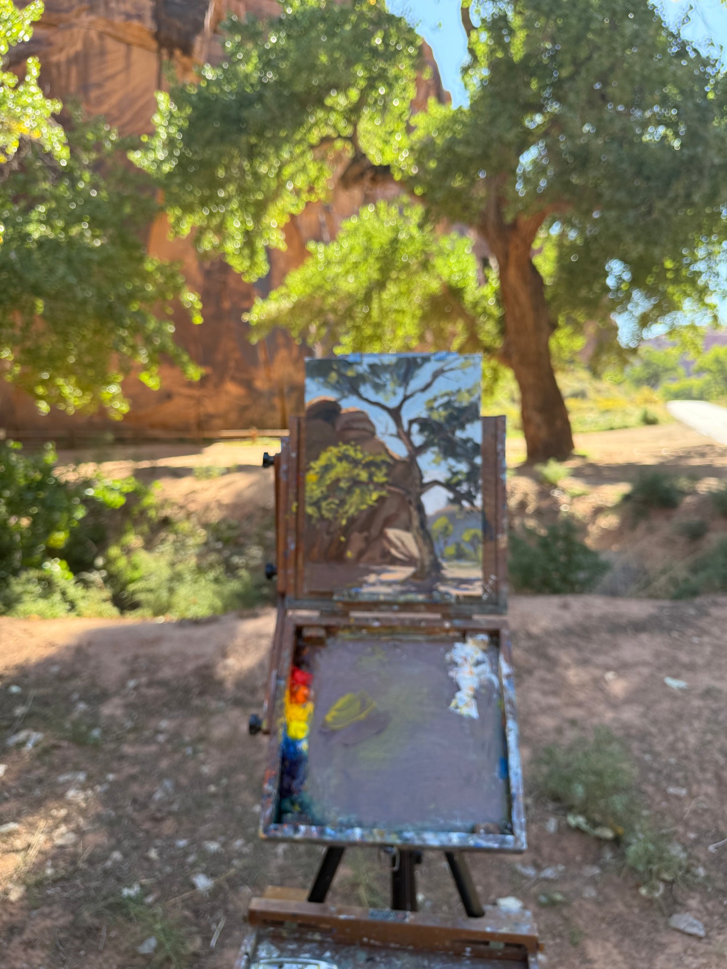 Cottonwood in the desert