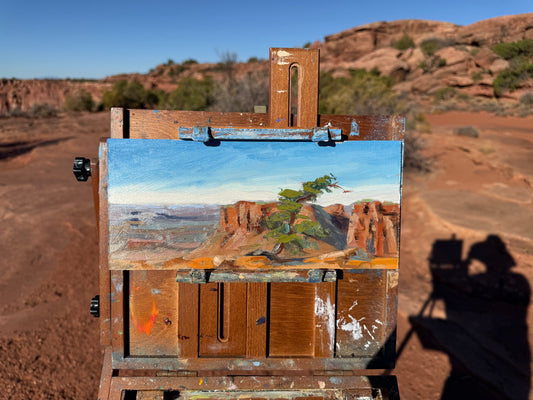 Canyonland piñon pine