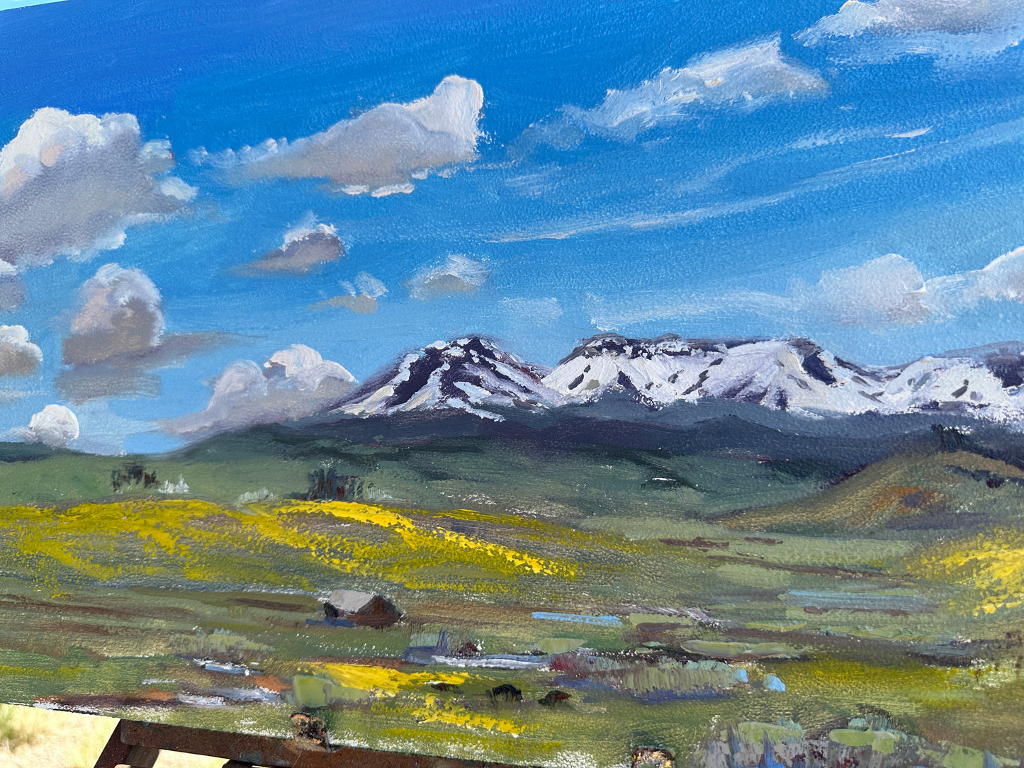 Flattops in June