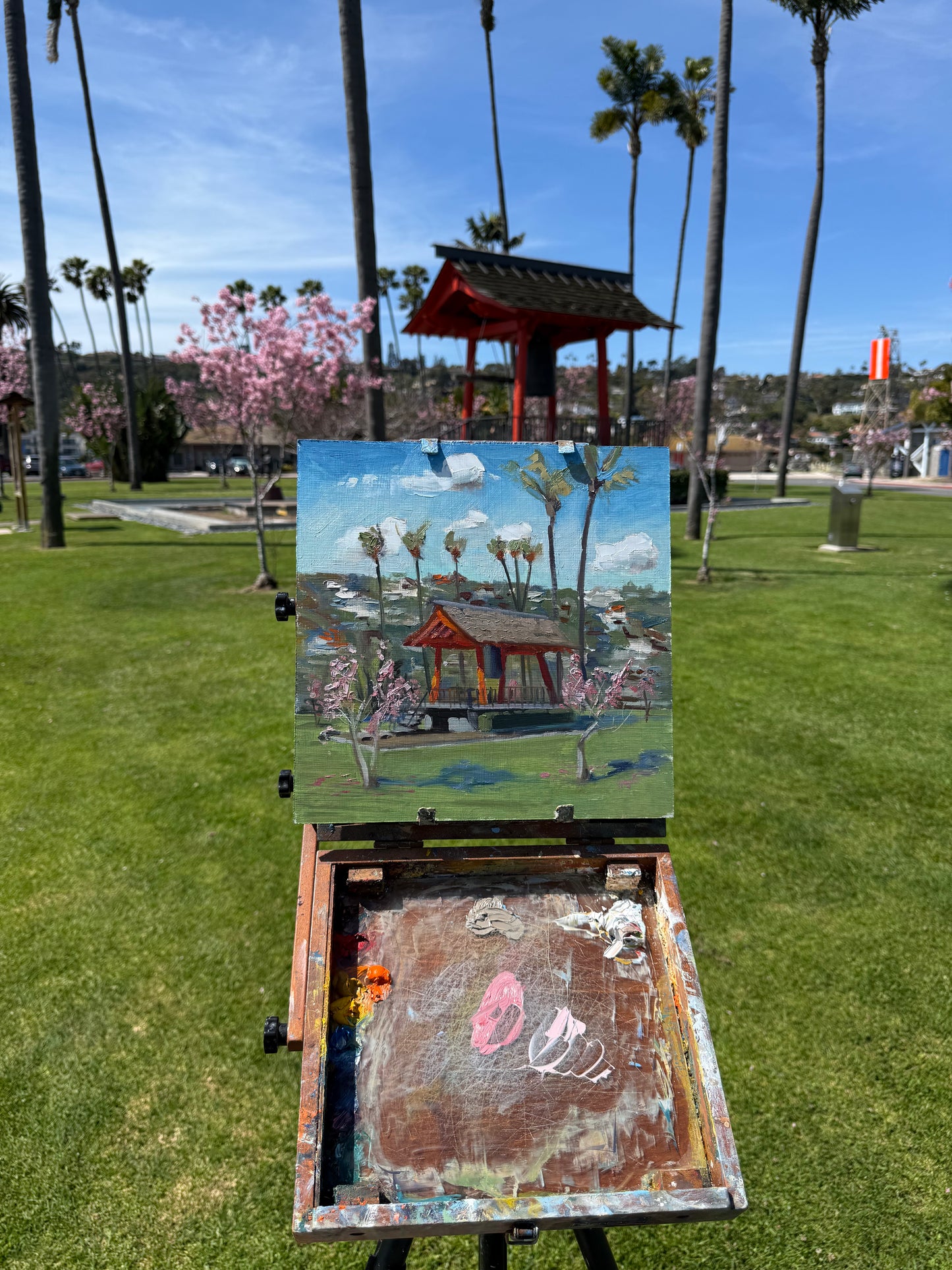 Shelter island bloom