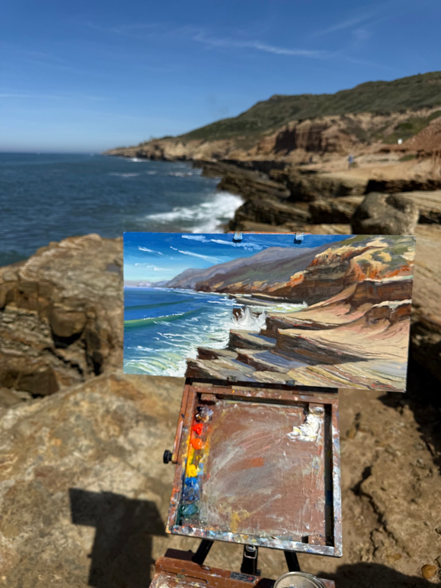 San Diego cliffs in March