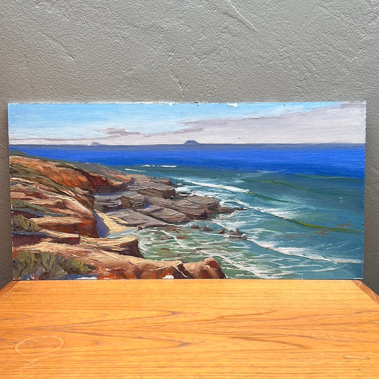 Reef Showing